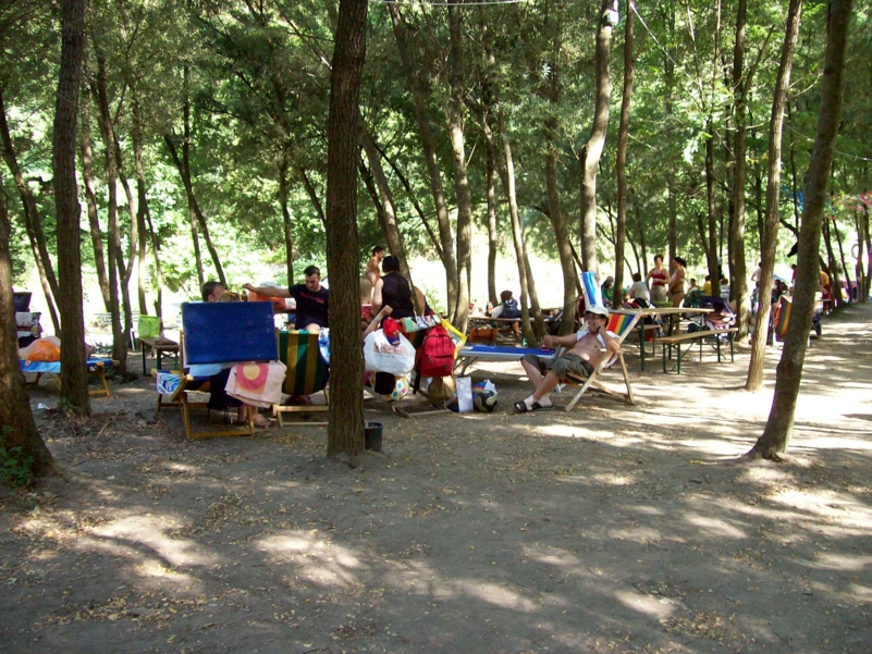  Image name: Parco038.jpg 
 width: 801 pixel 
 height: 601 pixel 
 Size: 549201 bytes 
 Click to enlarge 